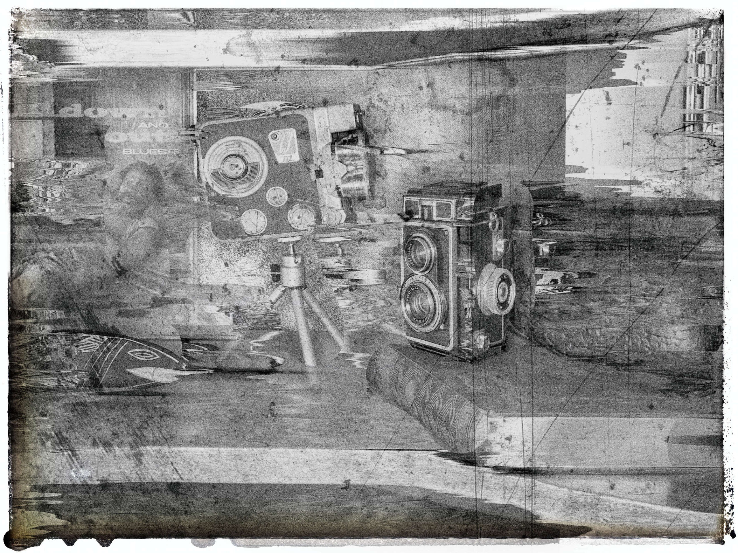 OLYMPUS DIGITAL CAMERA